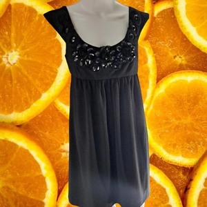 NEW Morgan McFeeters Mini Dress with Jewel Neck Size 6